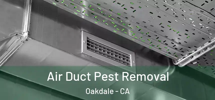  Air Duct Pest Removal Oakdale - CA