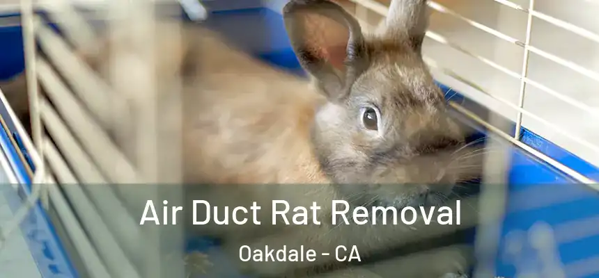  Air Duct Rat Removal Oakdale - CA