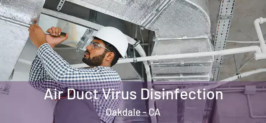  Air Duct Virus Disinfection Oakdale - CA