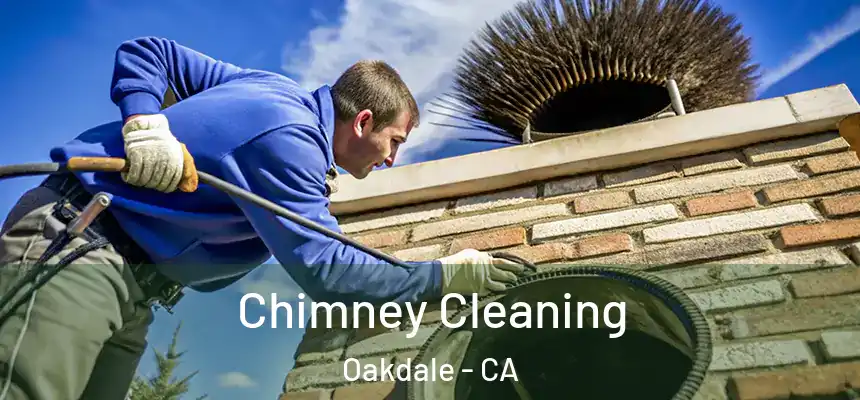  Chimney Cleaning Oakdale - CA