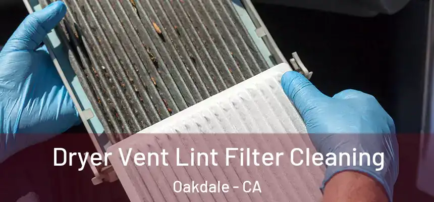 Dryer Vent Lint Filter Cleaning Oakdale - CA