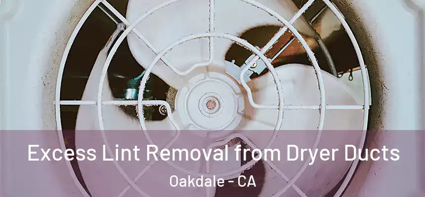  Excess Lint Removal from Dryer Ducts Oakdale - CA