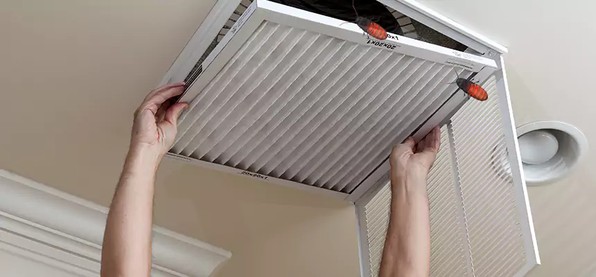 Our Insect Removal from Air Ducts Services in Oakdale, CA