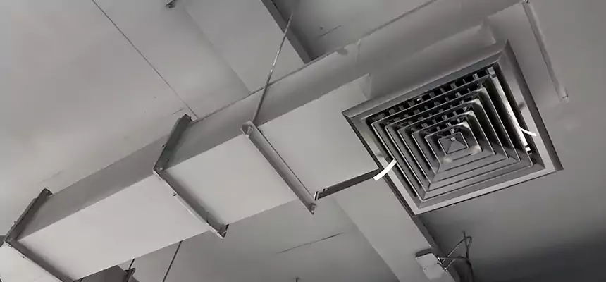 Our Rodent Droppings In Vents Services in Oakdale, CA