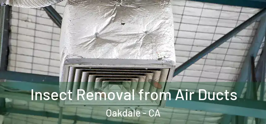  Insect Removal from Air Ducts Oakdale - CA