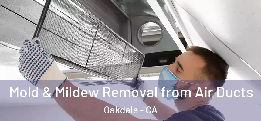 Mold & Mildew Removal from Air Ducts Oakdale - CA