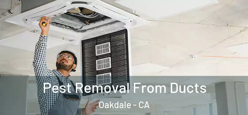  Pest Removal From Ducts Oakdale - CA