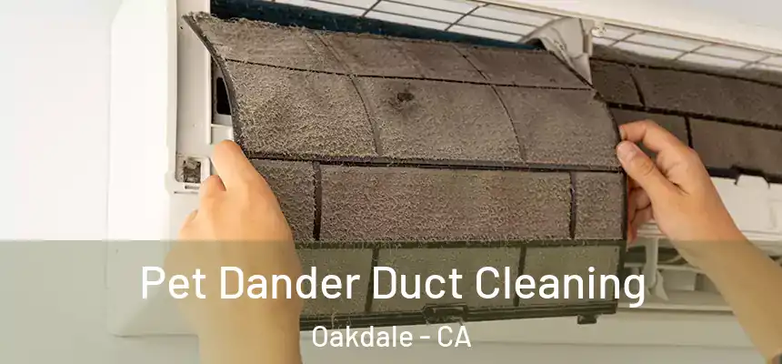 Pet Dander Duct Cleaning Oakdale - CA