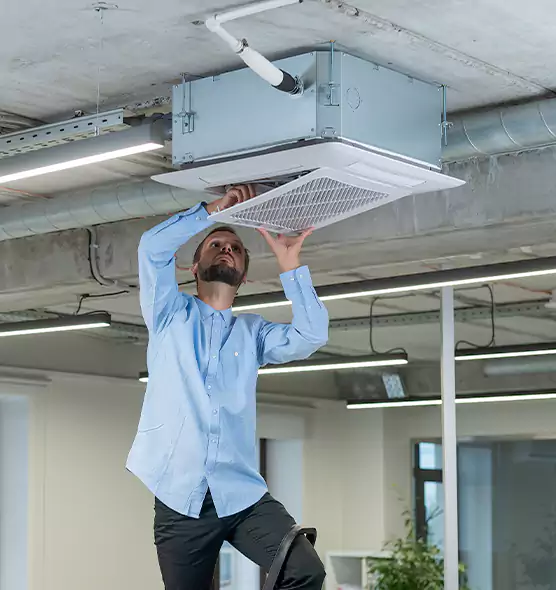 Advanced Rodent Droppings In Vents in Oakdale, CA