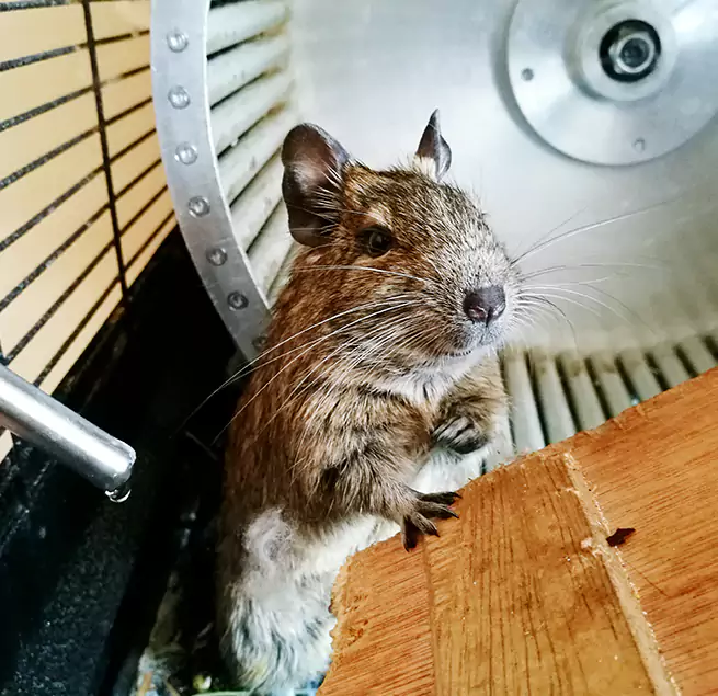 Why Homeowners & Businesses Trust Us Oakdale, CA?