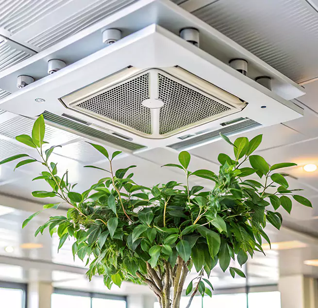 Why Homeowners & Businesses Trust Us in Oakdale, CA?